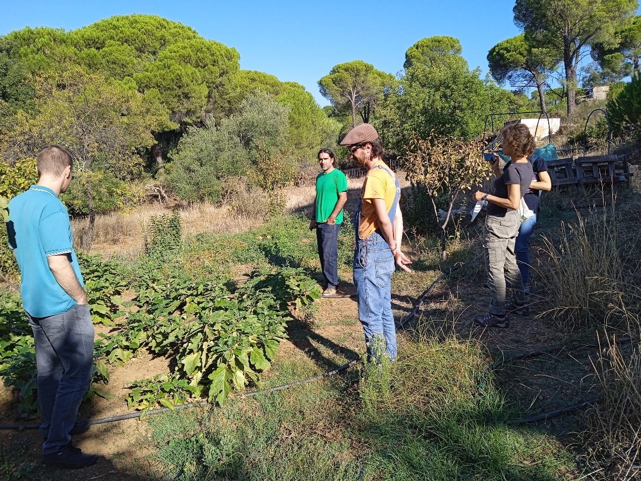 Investigadores en uno de los huertos urbanos de Sevilla / IRNAS-CSIC