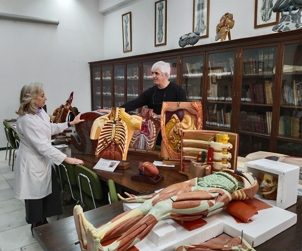 Modelos anatómicos restauados en la Universidad de Sevilla