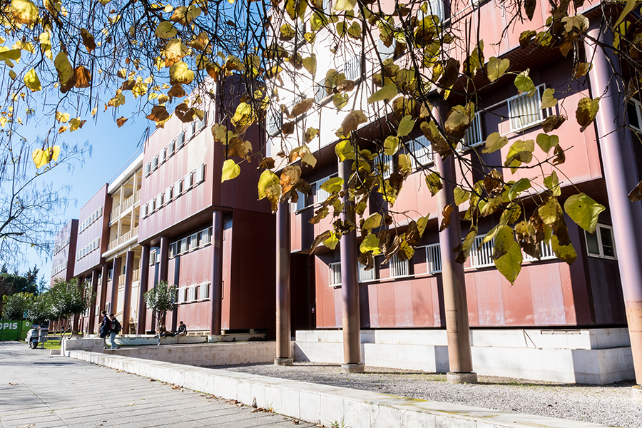 ETS de Ingeniería de la Universidad de Sevilla