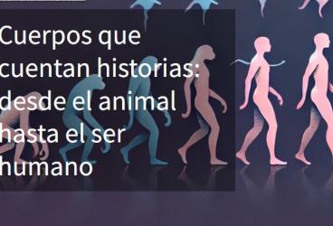 Las US en el Pint of Science: Cuando los muertos nos hablan, pero sin brujería